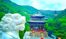 江南体育-太原泰山豪情万丈，铁血豪取胜利