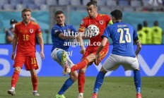 江南体育-爱尔兰战胜对手，锁定欧锦赛强席位