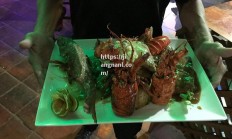 江南体育-哥斯达黎加射箭选手展现实力夺冠