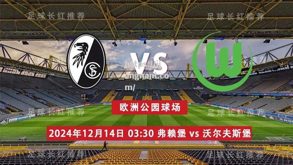 沃尔夫斯堡主场失利，被对手反超